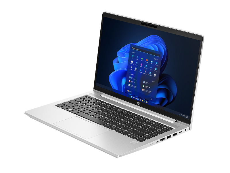 HP Probook 445G10 - AL0D5AT