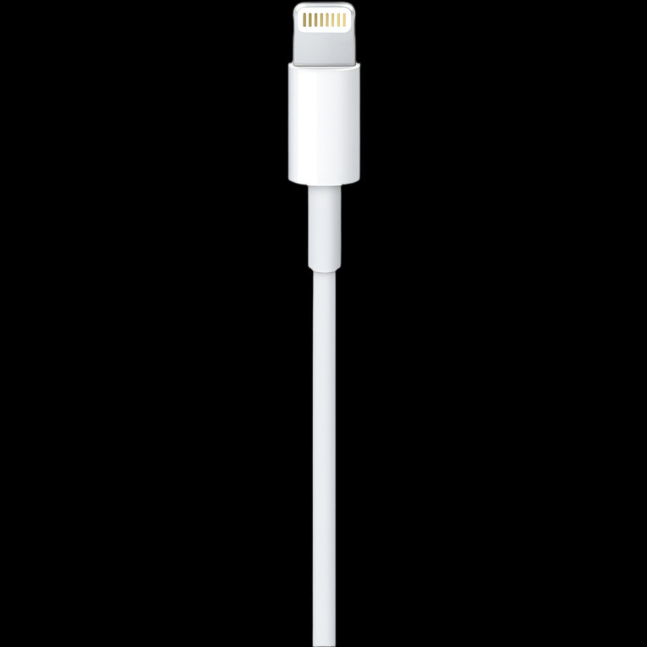 2m APPLE BULK LIGHTNING CABLE