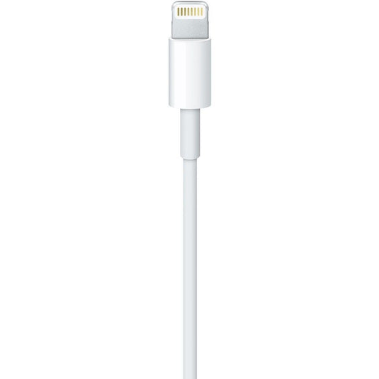 2m APPLE BULK LIGHTNING CABLE