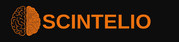 Scintelio Technology Solutions LTD